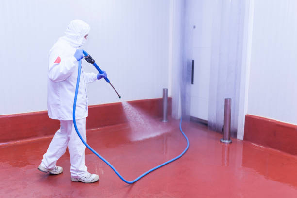 Best Graffiti Removal  in Mount Hope, NJ