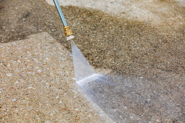 Animal Enclosure Cleaning in Mount Hope, NJ
